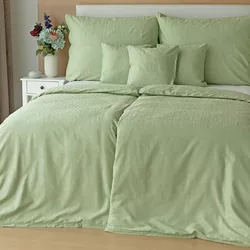 Lenjerie de pat Matějovský Bamboo damask SofieLight Green