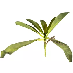 Frunză artificială de orhidee, cu rădăcini, 30 cm