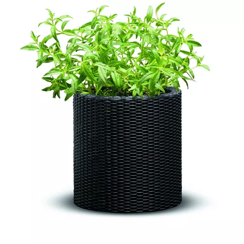 Jardinieră din plastic Keter Ratan, antracit, 28 x28 x 28,3 cm